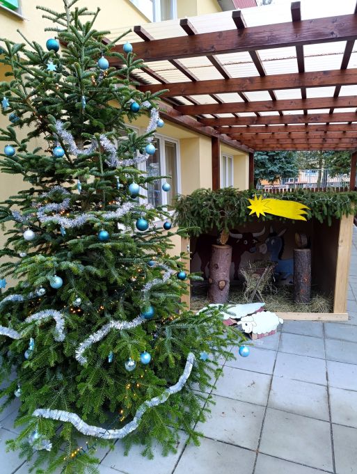 1000037155 1000037155